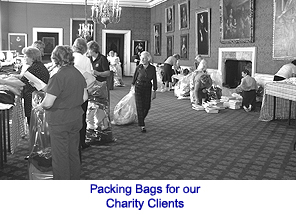 Packing Bags